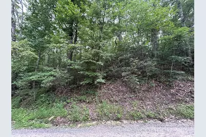 0 Pine Ridge Road #21, Hendersonville, NC 28792 - Photo 5