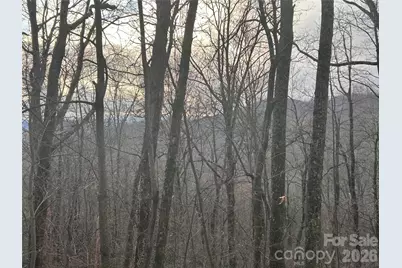 0 Pine Ridge Road #21, Hendersonville, NC 28792 - Photo 13