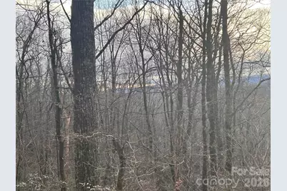 0 Pine Ridge Road #21, Hendersonville, NC 28792 - Photo 11