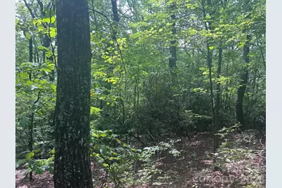 0 Pine Ridge Road #21, Hendersonville, NC 28792 - Photo 3