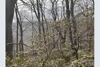 0 Pine Ridge Road #21, Hendersonville, NC 28792 - Photo 19