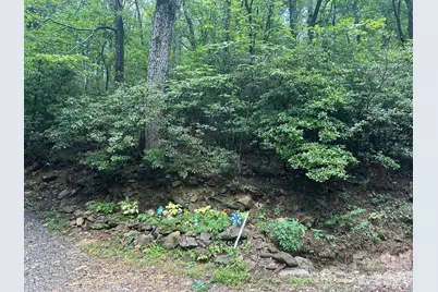 0 Pine Ridge Road #21, Hendersonville, NC 28792 - Photo 1