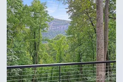 384 Cascada Vista Drive, Chimney Rock Village, NC 28720 - Photo 5