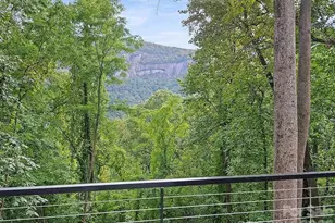 384 Cascada Vista Dr, Chimney Rock Village, NC 28720 - Photo 5