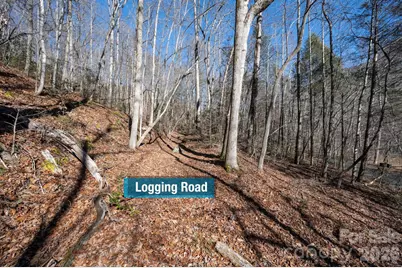 171 Deerfield Drive #15, Lake Lure, NC 28746 - Photo 11