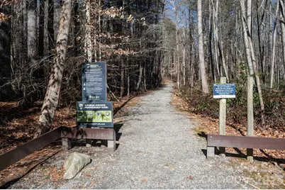 171 Deerfield Drive #15, Lake Lure, NC 28746 - Photo 5