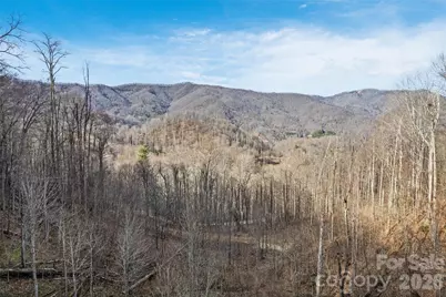 10 Zenith Drive, Waynesville, NC 28785 - Photo 7