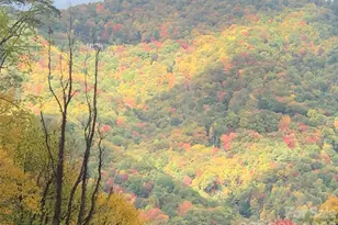 10 Zenith Dr, Waynesville, NC 28785 - Photo 43