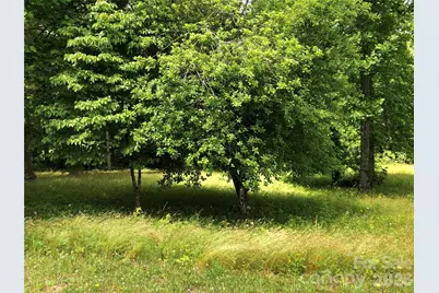 4 Ambrose Court #155, Flat Rock, NC 28731 - Photo 27