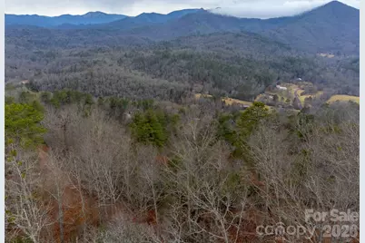 9999 Lower Burningtown Road, Franklin, NC 28734 - Photo 11