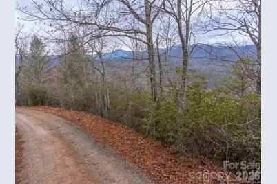 9999 Lower Burningtown Road, Franklin, NC 28734 - Photo 3