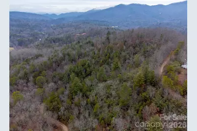 9999 Lower Burningtown Road, Franklin, NC 28734 - Photo 19