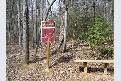 447 Hidden Lake Parkway, Nebo, NC 28761 - Photo 37