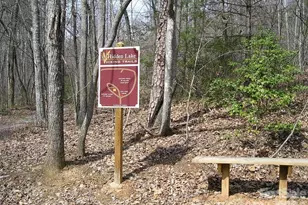 447 Hidden Lake Pkwy, Nebo, NC 28761 - Photo 37