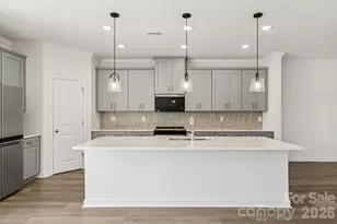 335 Golden Maple Ct, Fort Mill, SC 29708 - Photo 7