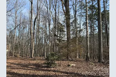 868 Bellegray Road, Clover, SC 29710 - Photo 5