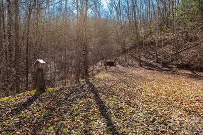 143 Hubert McCall Drive, Balsam Grove, NC 28708 - Photo 19