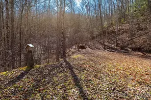 143 Hubert McCall Dr, Balsam Grove, NC 28708 - Photo 19