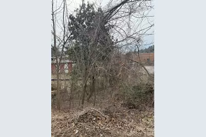 37 Johnson Drive #2, Asheville, NC 28804 - Photo 1