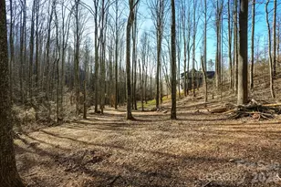 67 Bamboo Trl, Candler, NC 28715 - Photo 1
