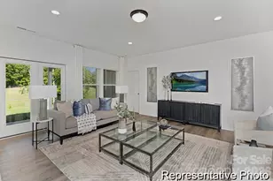 465 Black Bear St, China Grove, NC 28023 - Photo 9