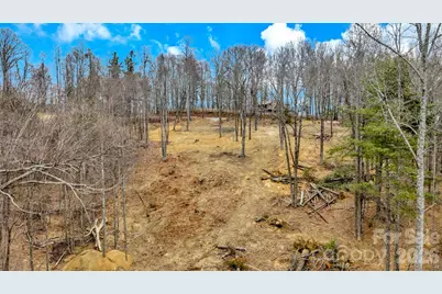 Tbd Phillips Gap Road, Purlear, NC 28665 - Photo 11