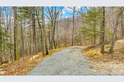 Tbd Phillips Gap Road, Purlear, NC 28665 - Photo 9