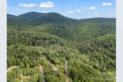 1821 Bearwallow Mountain Road, Hendersonville, NC 28792 - Photo 47