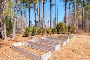 858 Mills Gap Rd, Fletcher, NC 28732 - Photo 27