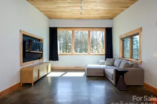 858 Mills Gap Rd, Fletcher, NC 28732 - Photo 11