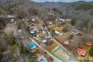 10 Hampton Rd, Brevard, NC 28712 - Photo 1