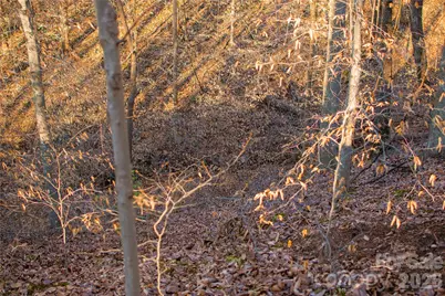 0 Windbluff Court #161, Statesville, NC 28677 - Photo 3