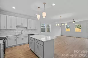 2916 Dogwood Ave, Charlotte, NC 28206 - Photo 9