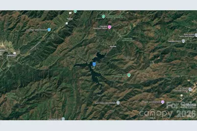 719 Holly Ridge Road, Topton, NC 28781 - Photo 3