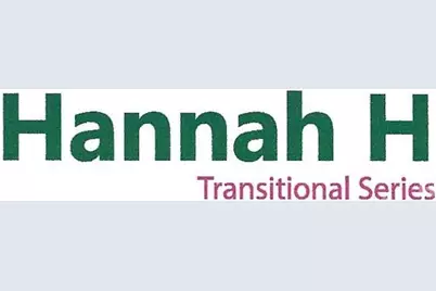 261 Corrie Ann Drive, Concord, NC 28027 - Photo 3