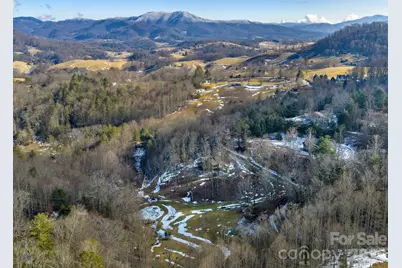 166 Harleys Cove, Waynesville, NC 28785 - Photo 41