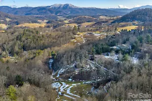 166 Harleys Cv, Waynesville, NC 28785 - Photo 41