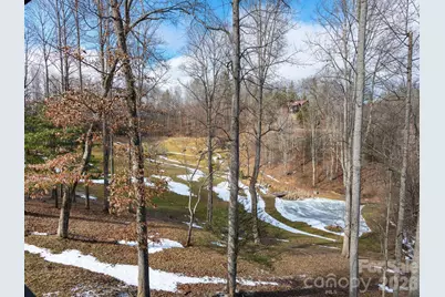 166 Harleys Cove, Waynesville, NC 28785 - Photo 35