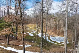 166 Harleys Cv, Waynesville, NC 28785 - Photo 35