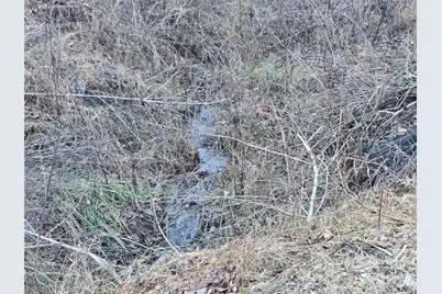 321 Mount Keys Drive, Bryson City, NC 28713 - Photo 3