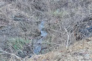 321 Mount Kys Dr, Bryson City, NC 28713 - Photo 3