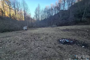 321 Mount Kys Dr, Bryson City, NC 28713 - Photo 1