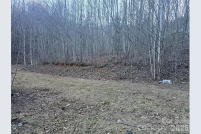 321 Mount Keys Drive, Bryson City, NC 28713 - Photo 29