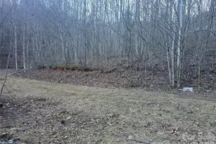 321 Mount Kys Dr, Bryson City, NC 28713 - Photo 29