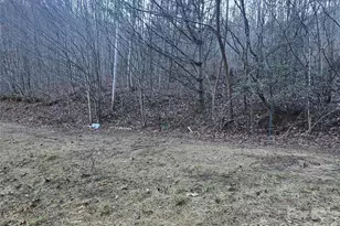 321 Mount Kys Dr, Bryson City, NC 28713 - Photo 27