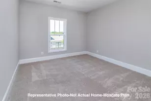 10213 Rainier Trail Dr NW, Huntersville, NC 28078 - Photo 23