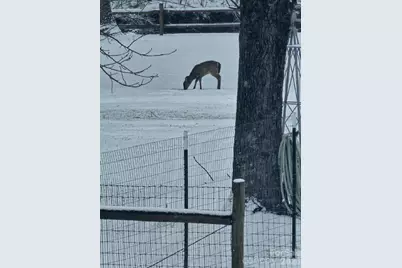 1292 Creekwood Drive, Morganton, NC 28655 - Photo 27