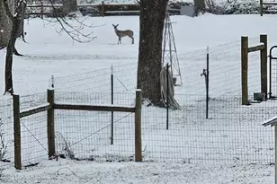 1292 Creekwood Dr, Morganton, NC 28655 - Photo 25