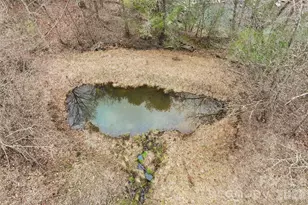 64 Hobson Br Rd, Weaverville, NC 28787 - Photo 33