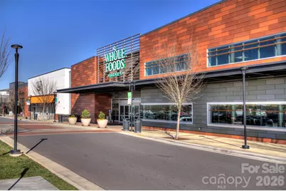 5862 Ardrey Kell Road, Charlotte, NC 28277 - Photo 43